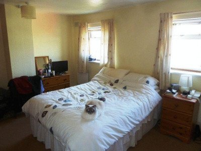 Leased - 81	Pinewood Crecent-4