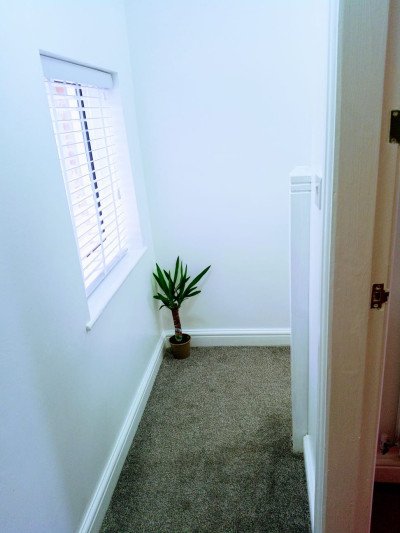 Leased - 57 Tape Street-9