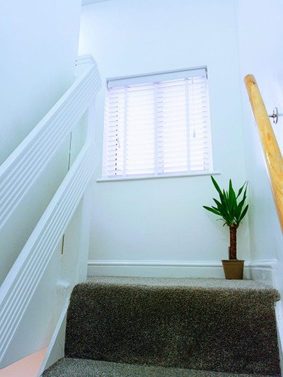 Leased - 57 Tape Street-6